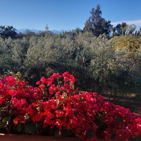 Manzal Lahbab Bed & Breakfast Marrakesh Luaran gambar